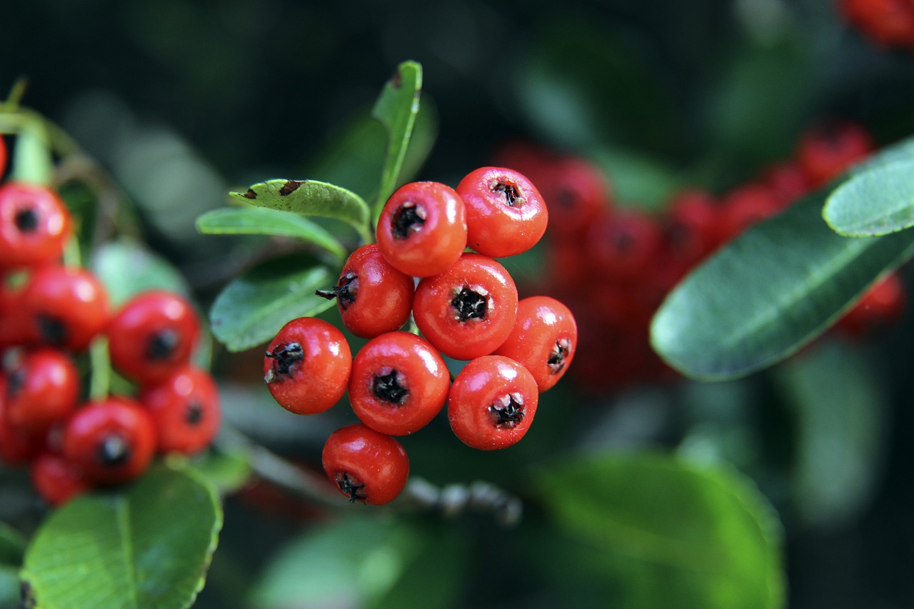 他始终未能 他始终未能