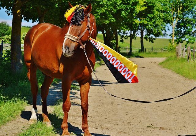 全能戰士 全能戰士