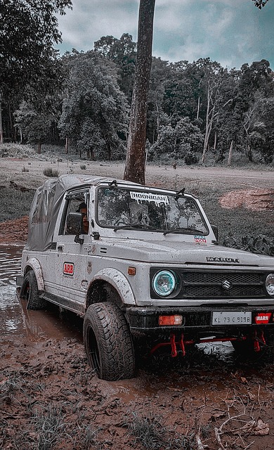 4的比赛中 4的比赛中